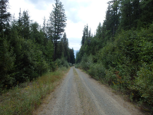 GDMBR, south of Fatty Creek, MT.